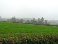 Colline Monferrato