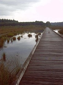 Ponte Nord-Olanda