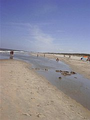 Spiaggia Nord Olanda