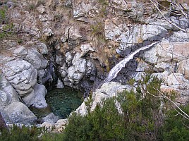 torrente baiardetta